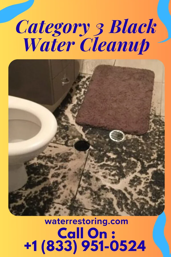 Category 3 Black Water Cleanup in Roseville, MN