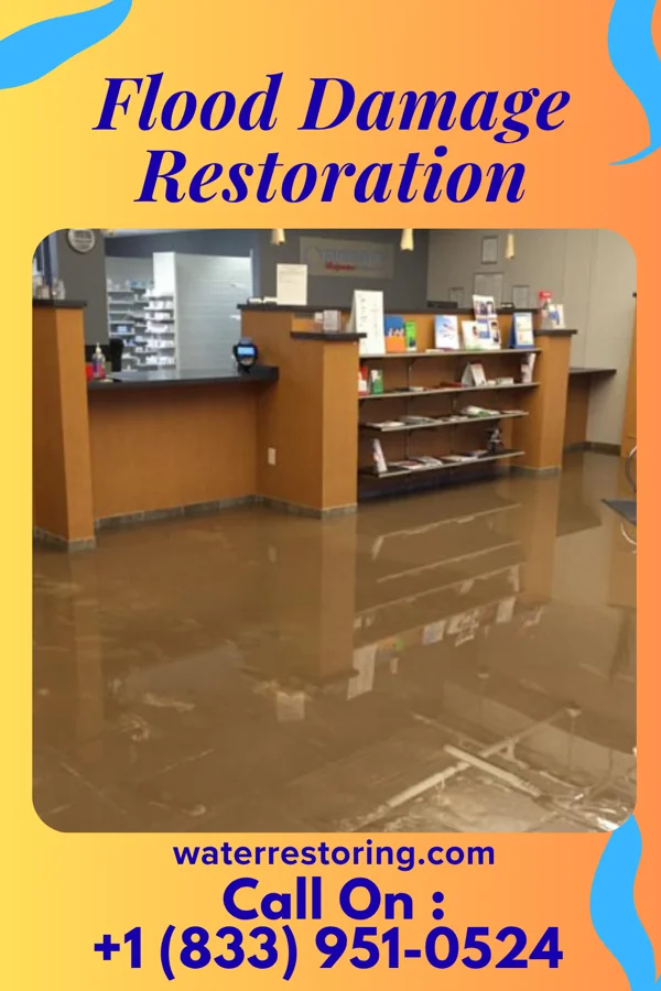 Flood Damage Restoration in Roseville, MN